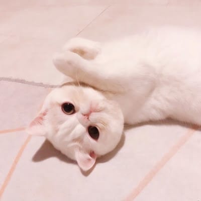 Kuya Jojo avatar